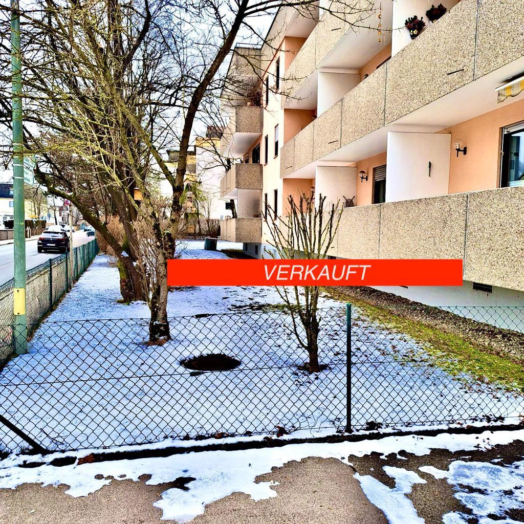 PHOTO-2024-01-17-13-03-53 8